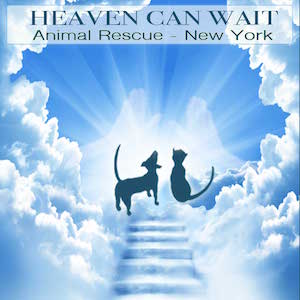 heaven can wait logo